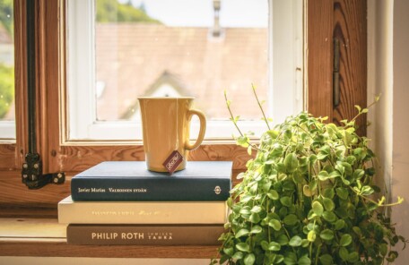 green leafed plant beside books and mug